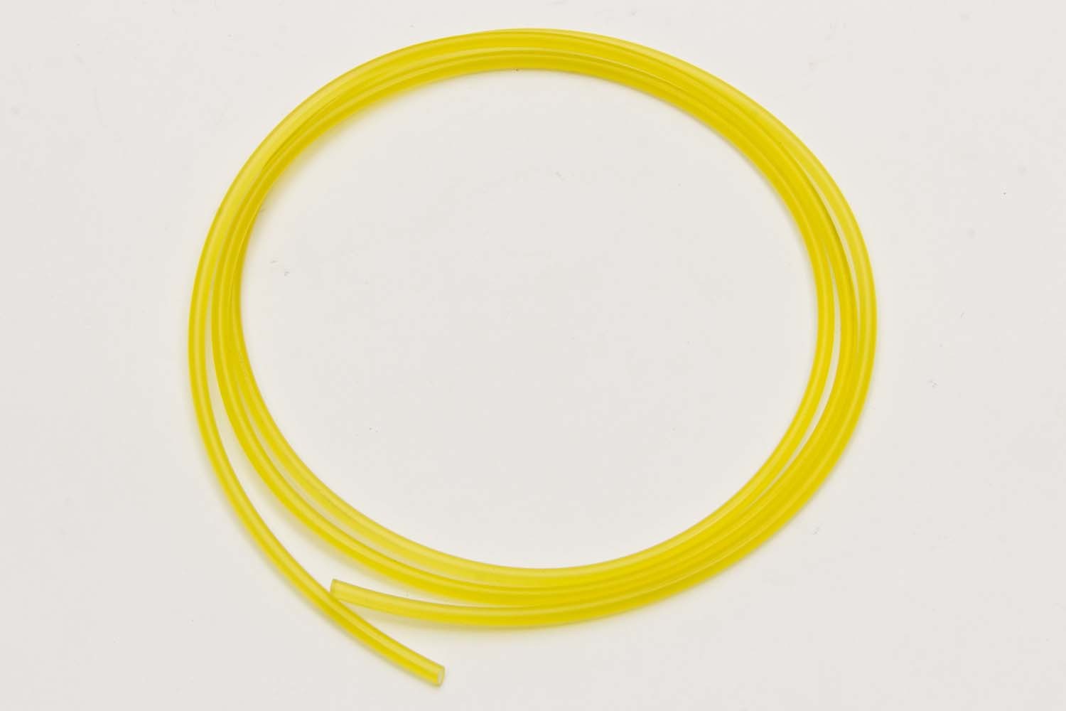 AFC80161.jpg