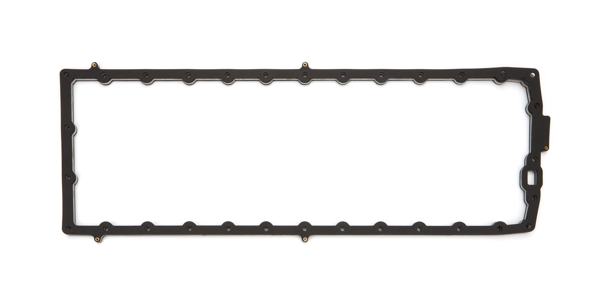 CAGC15507.jpg