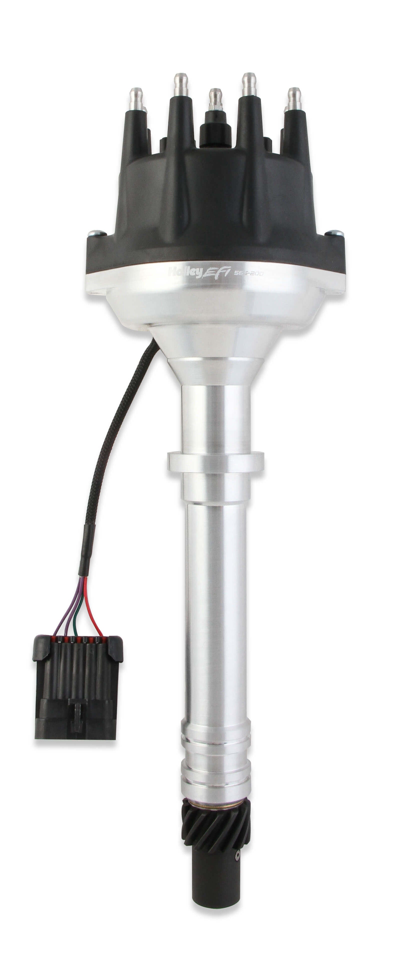 HLY565-203.jpg