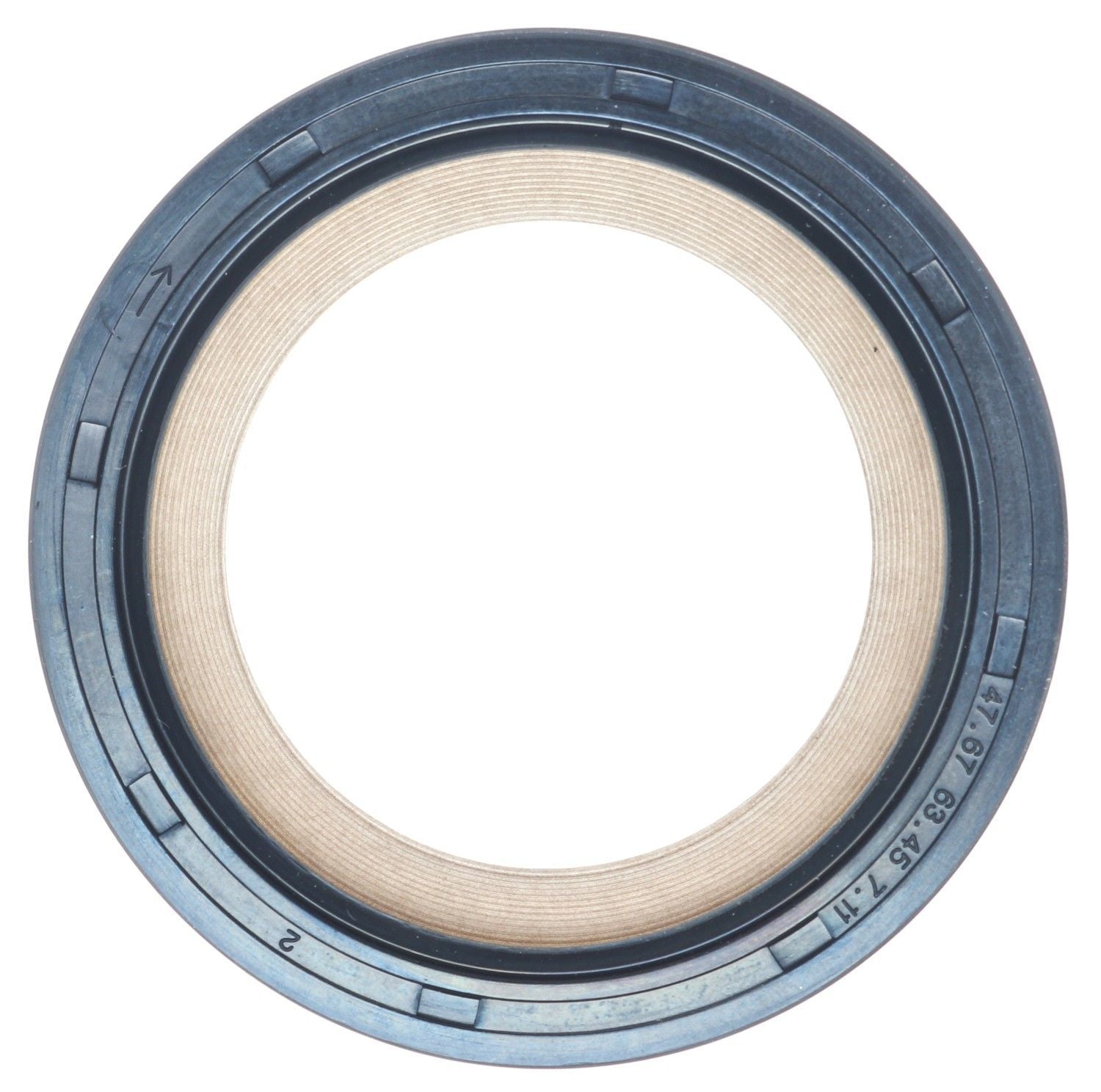 M7768114.jpg