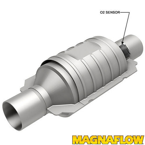 MAG51234.jpg