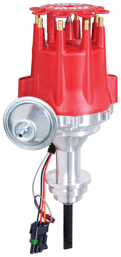 MSD8388.jpg