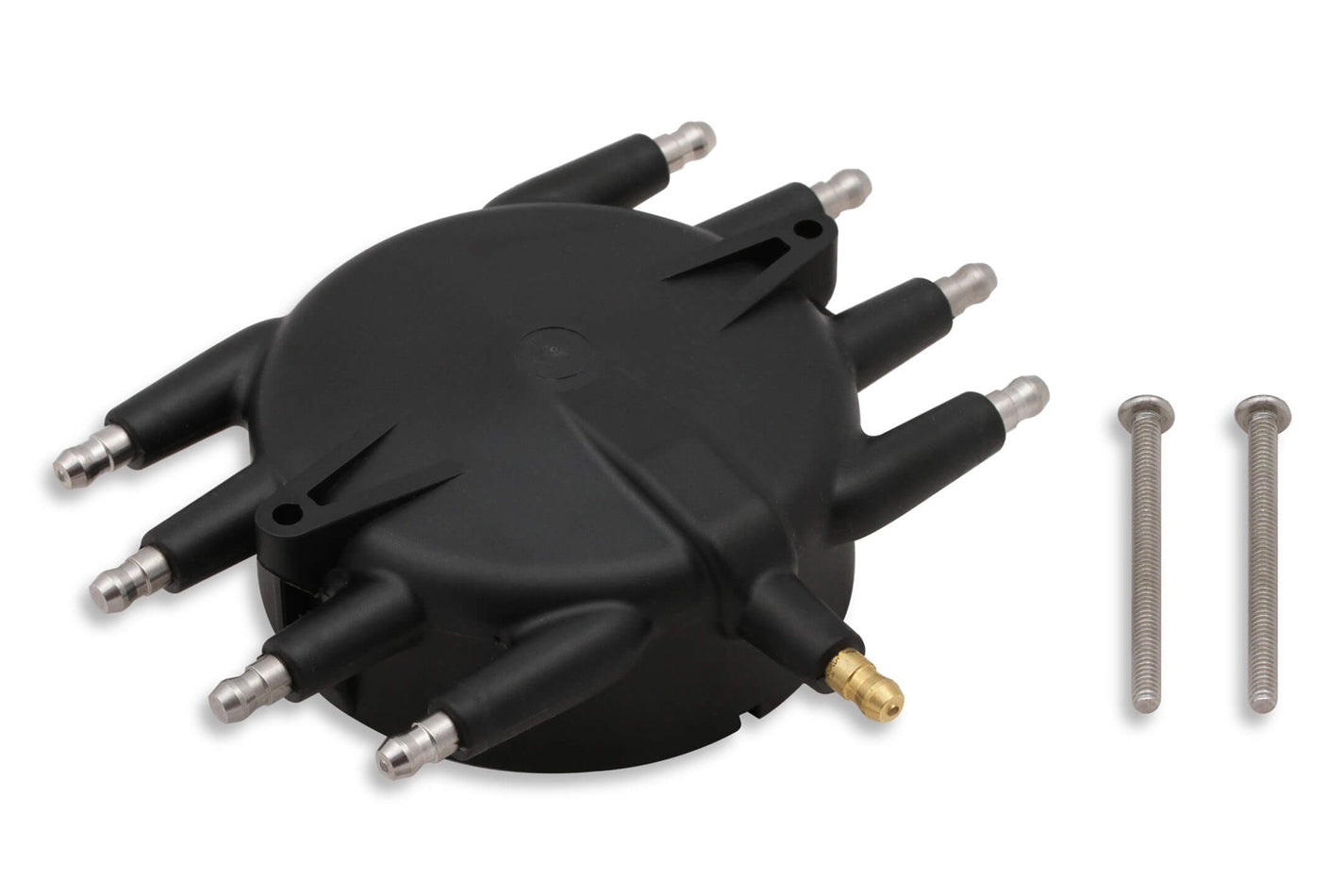 MSD85413.jpg
