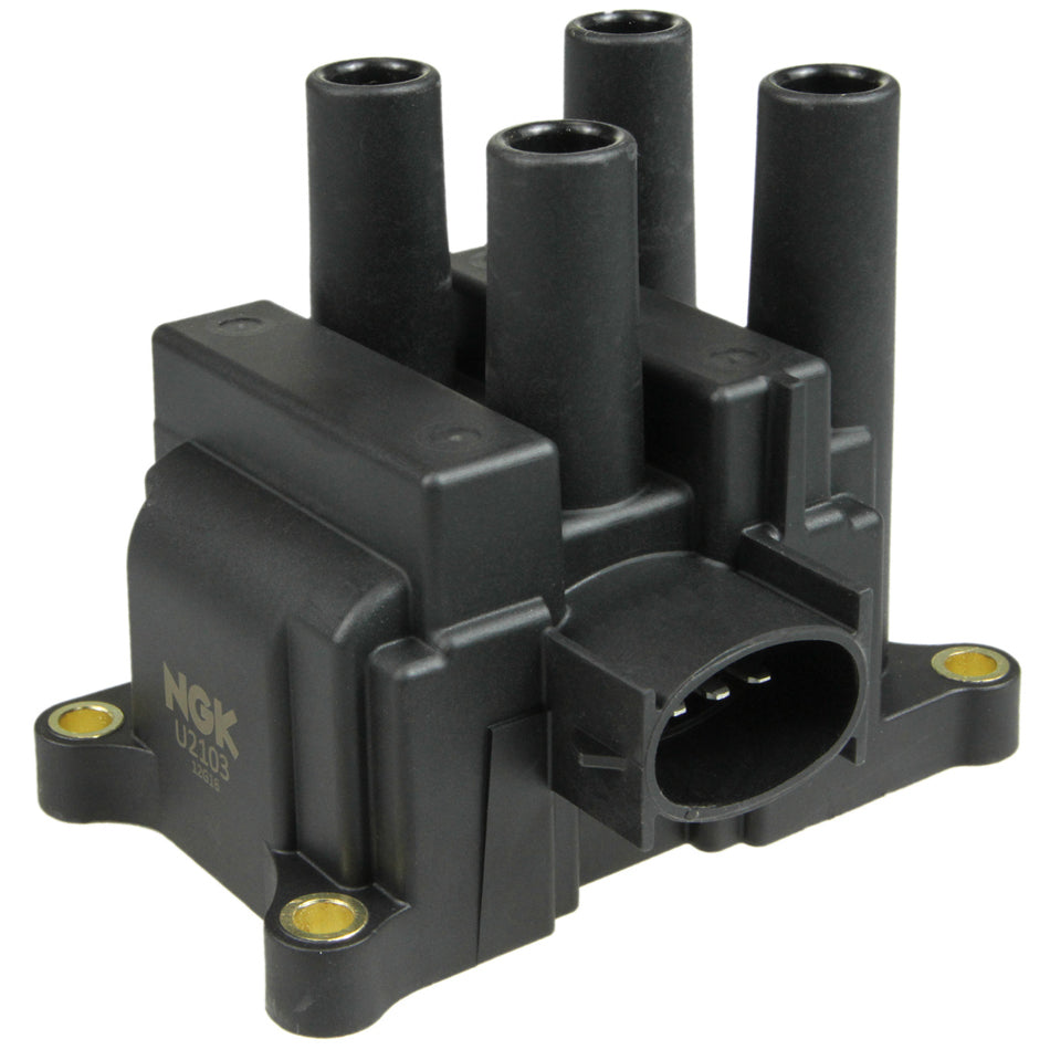 NGKU2103.jpg